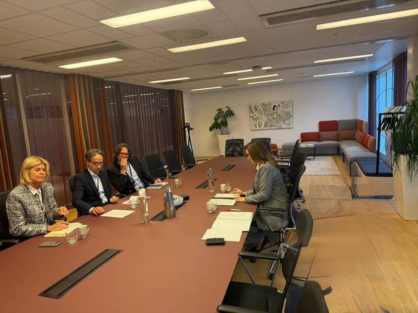 Meeting of H.E the Ambassador with the Executive Vice President for International Exploration and Production at Equinor.