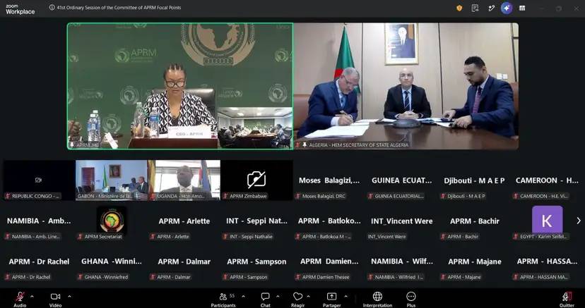 Mr. Chaib takes part in the proceedings of the 41st session of the APRM Focal Points Committee
