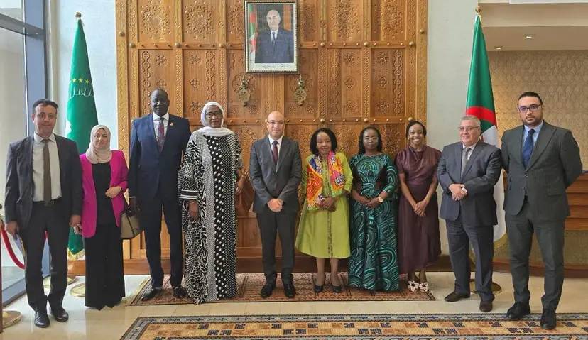 Mr. Chaib receives a delegation of the Network of African Women in Conflict Prevention and Mediation (FemWise-Africa)
